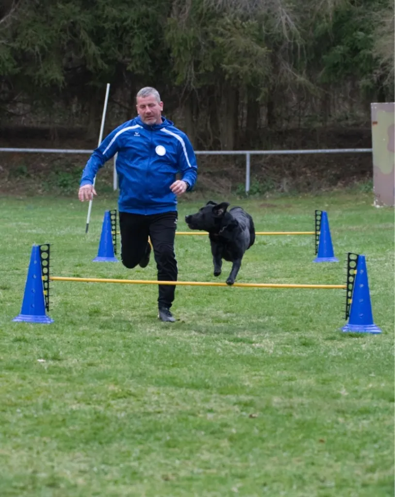 Hundeausstellung