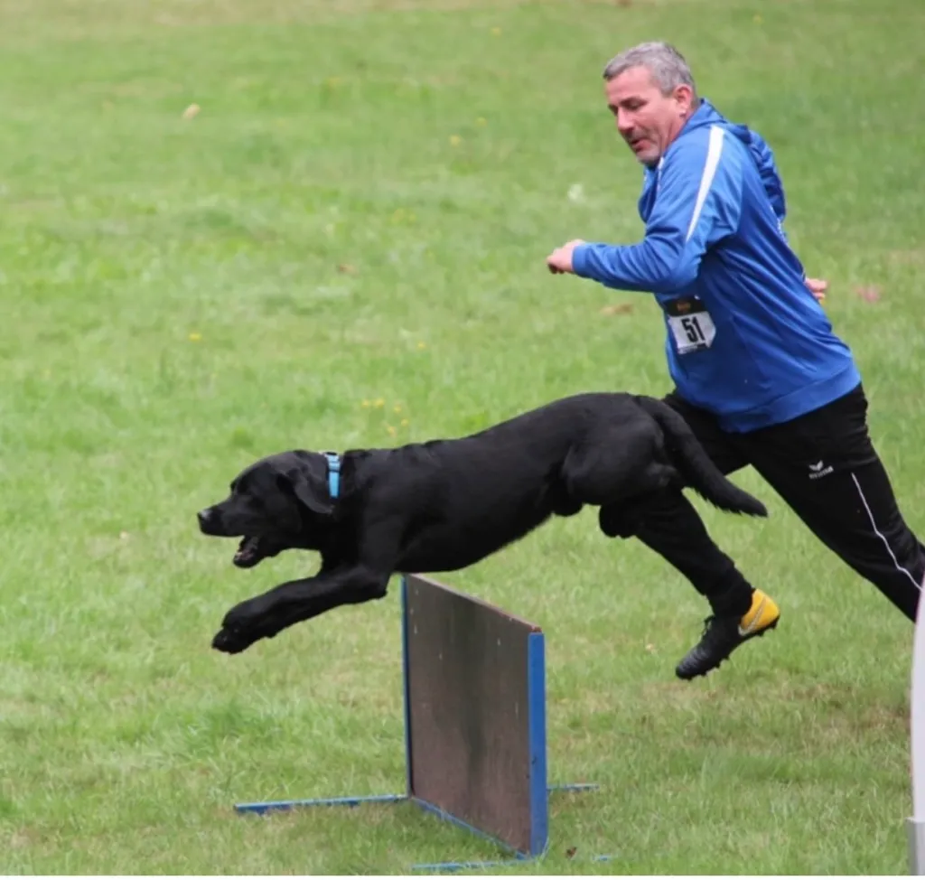 Hundeausstellung